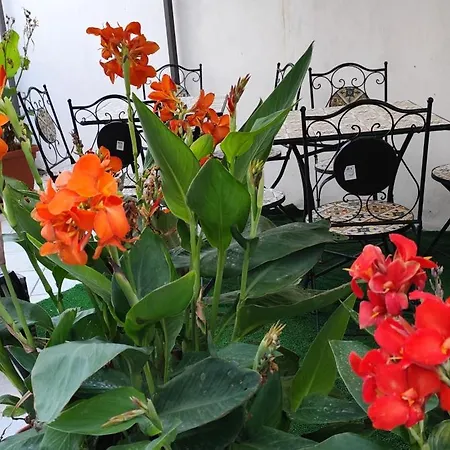 Sea And Blue Sky 1b Bed & Breakfast 3*