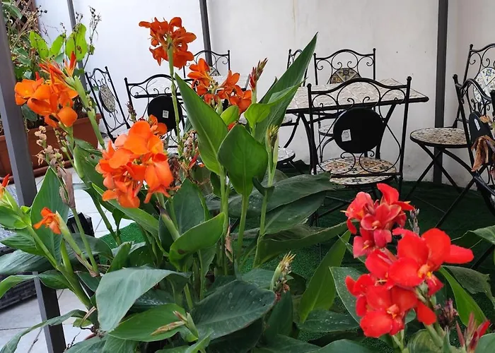 Sea And Blue Sky 1b Bed & Breakfast 3*